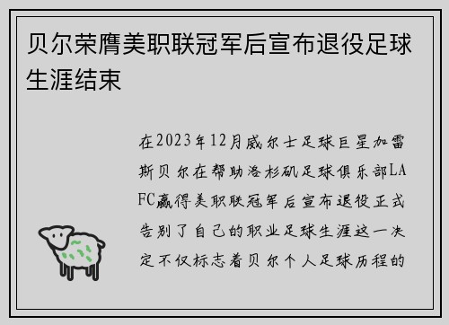 贝尔荣膺美职联冠军后宣布退役足球生涯结束 贝尔荣膺美职联冠军后宣布退役足球生涯结束